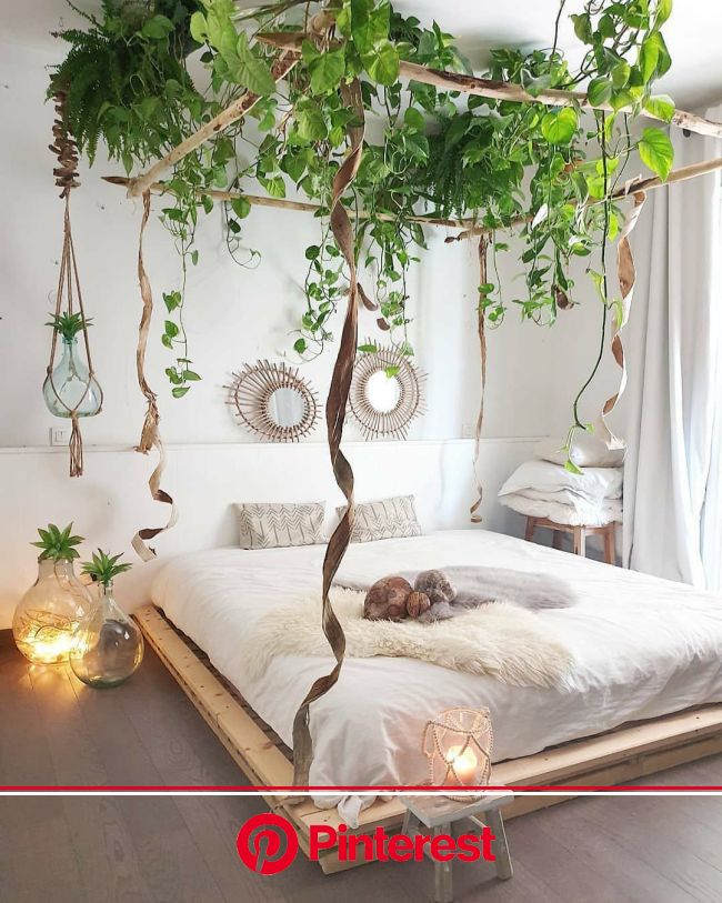 How To Style A Canopy Bed So It Looks Trendy Instagram Ideas Modern Bedroom Furniture Modern Canopy Bed Boho Bedroom Diy Painless Life