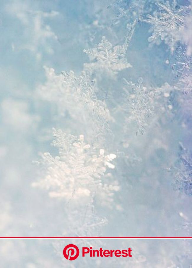 冬を感じる柄と言えば 素敵な雪の結晶アイテムを集めました 冬の壁紙 雪 デザイン 雪 背景 Painless Life