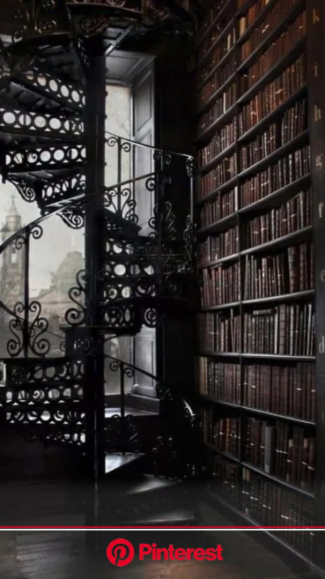 Dark Academia Library Aesthetic (Google Images) | Pinterest
